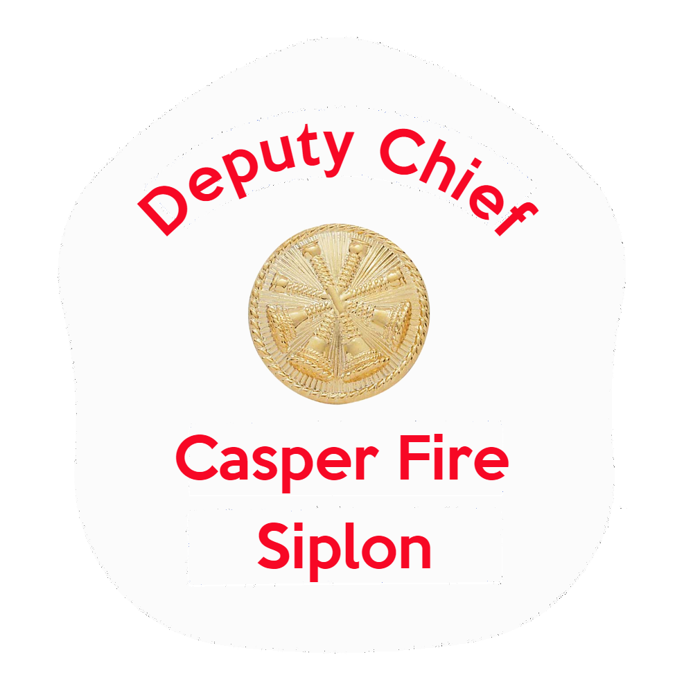 LA Short Style Fire Helmet Shield LAS5