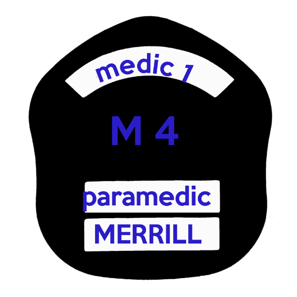 LA Short Style Fire Helmet Shield LAS5