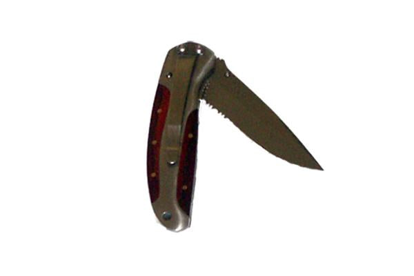 Knife with Smooth/Serrated Blade