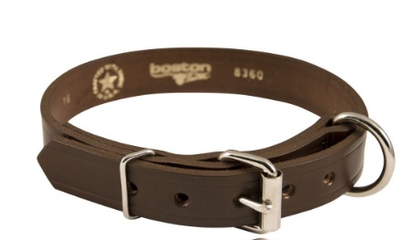 Boston Leather 1" K-9 Single Ply Leather Collar