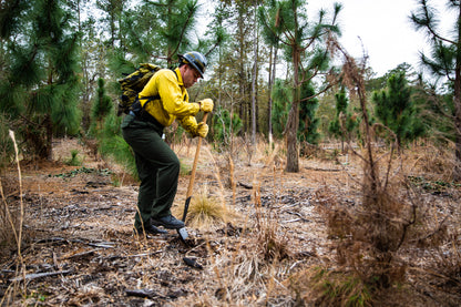Council Tool Forest Fire Shovel; Solid Shank and 38 in. Handle