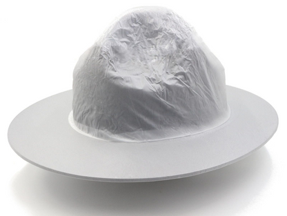 Uniform Hat Protector