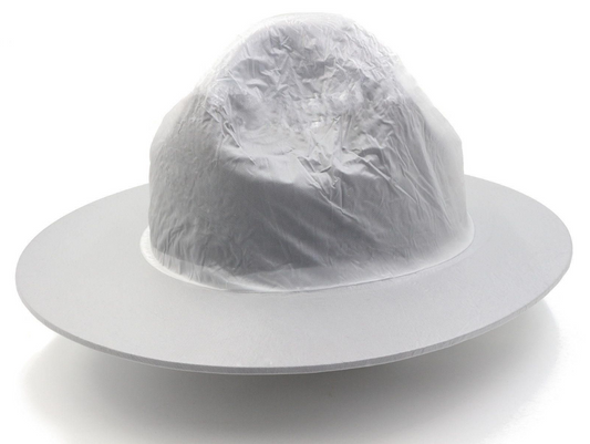 Uniform Hat Protector