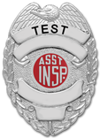 VisualBadge Custom Item