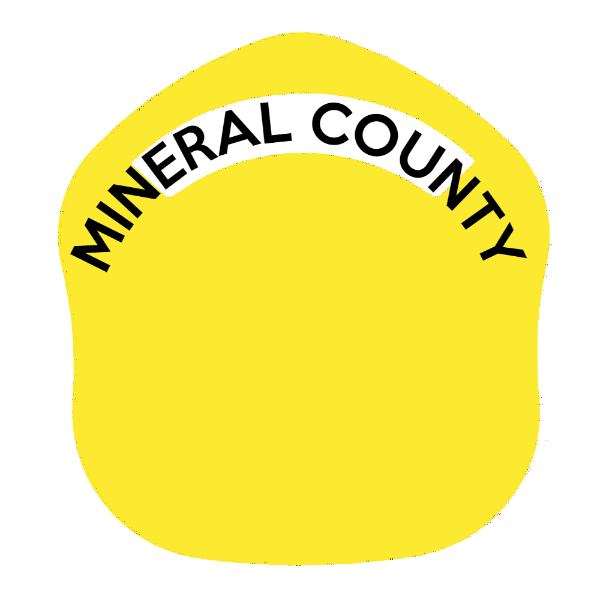 LA Short Style Fire Helmet Shield LAS1