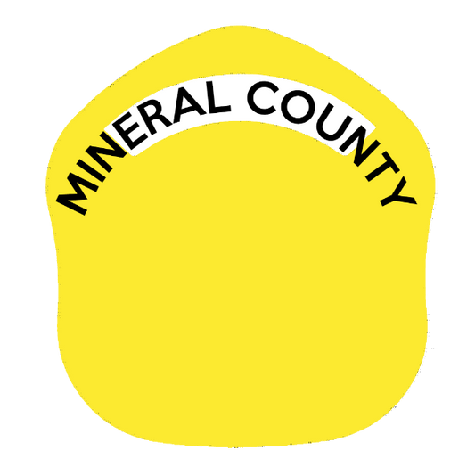 LA Short Style Fire Helmet Shield LAS1