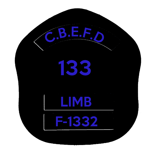 LA Short Style Fire Helmet Shield LAS5