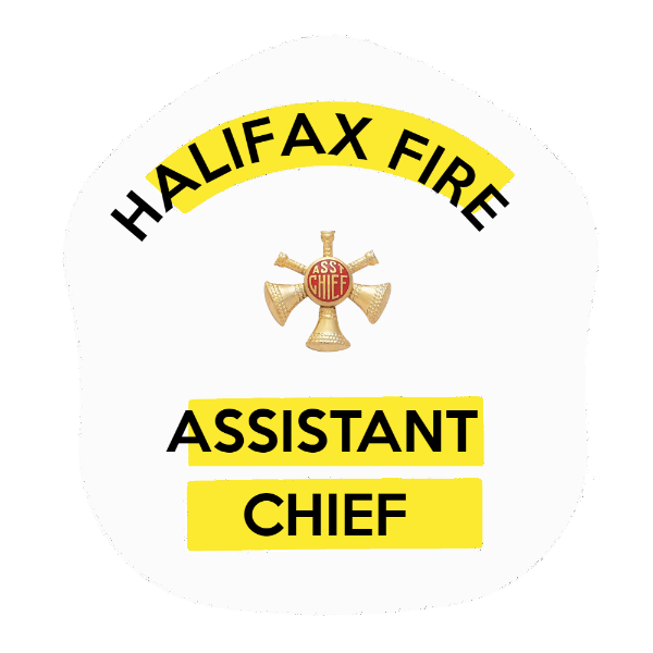 LA Short Style Fire Helmet Shield LAS5