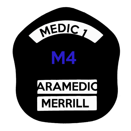 LA Short Style Fire Helmet Shield LAS5