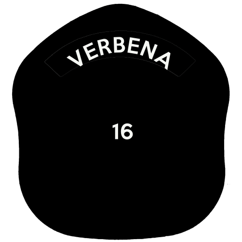 LA Style Fire Helmet Shields L1