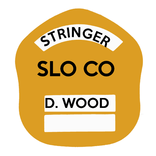 LA Short Style Fire Helmet Shield LAS5