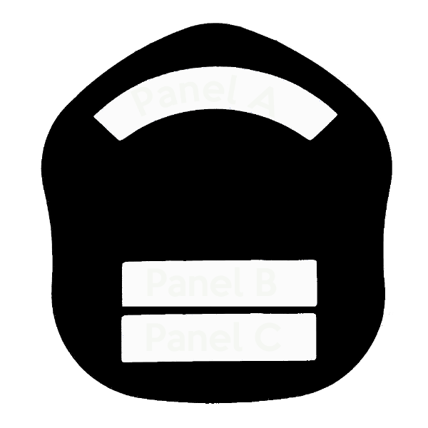 LA Short Style Fire Helmet Shield LAS5