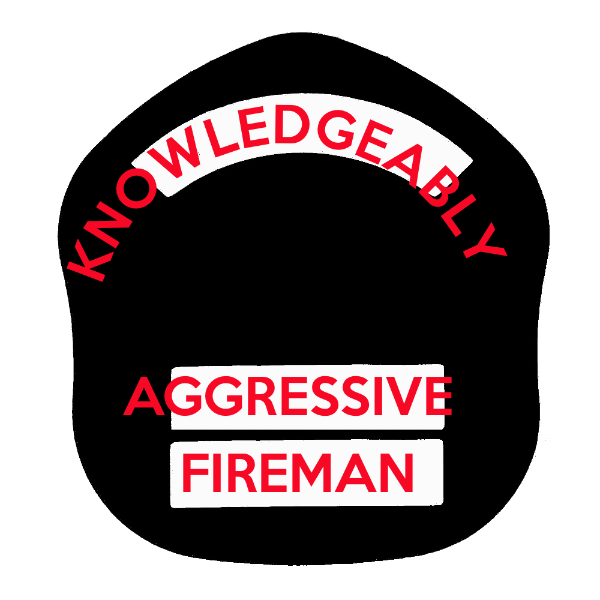 LA Short Style Fire Helmet Shield LAS5