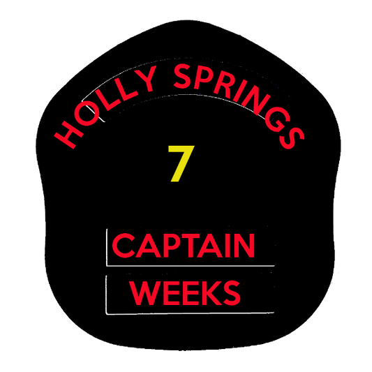 LA Short Style Fire Helmet Shield LAS5