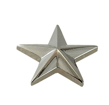 Hero's Pride Pair of Stars, 1 Post & Clutch Back 5/8" High