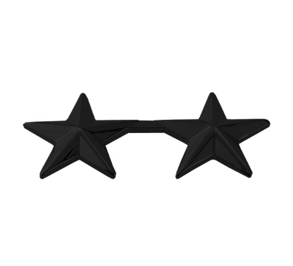 Hero's Pride 2 Stars, 2 Posts & Clutch Backs, Pairs, 5/8" High