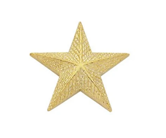Smith & Warren Star Insignia